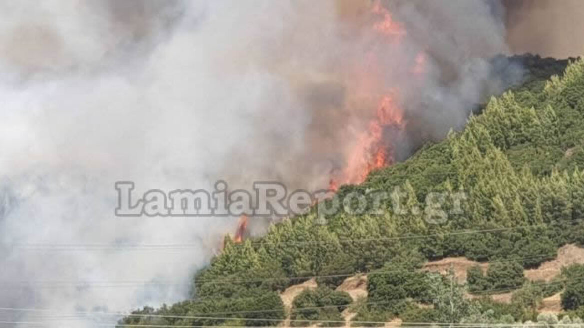 Φθιώτιδα: Μεγάλη φωτιά κοντά σε οικισμούς στη Μακρακώμη - Εκκενώθηκαν δυο χωριά