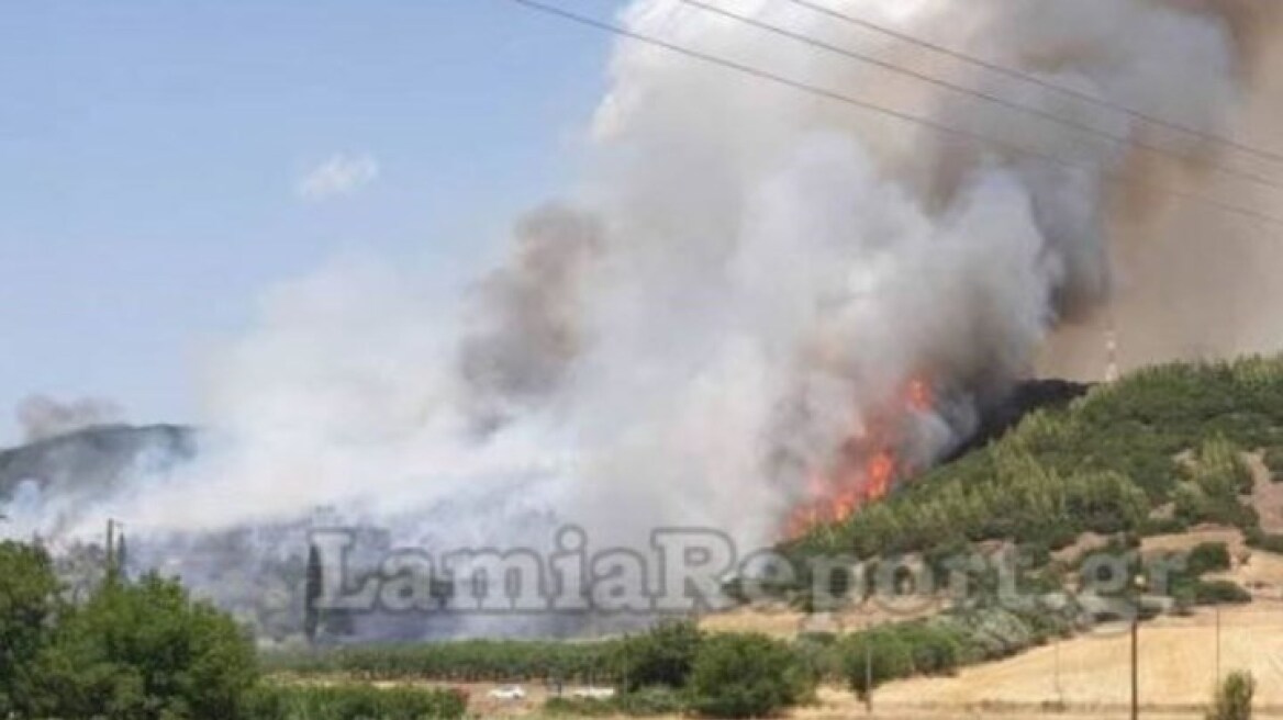 Φθιώτιδα: Υπό έλεγχο η φωτιά στη Μακρακώμη