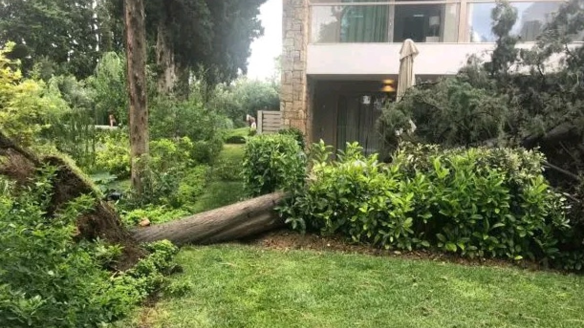 Χαλκιδική: Βρετανός τουρίστας περιγράφει στη Sun τις δραματικές στιγμές που έζησε