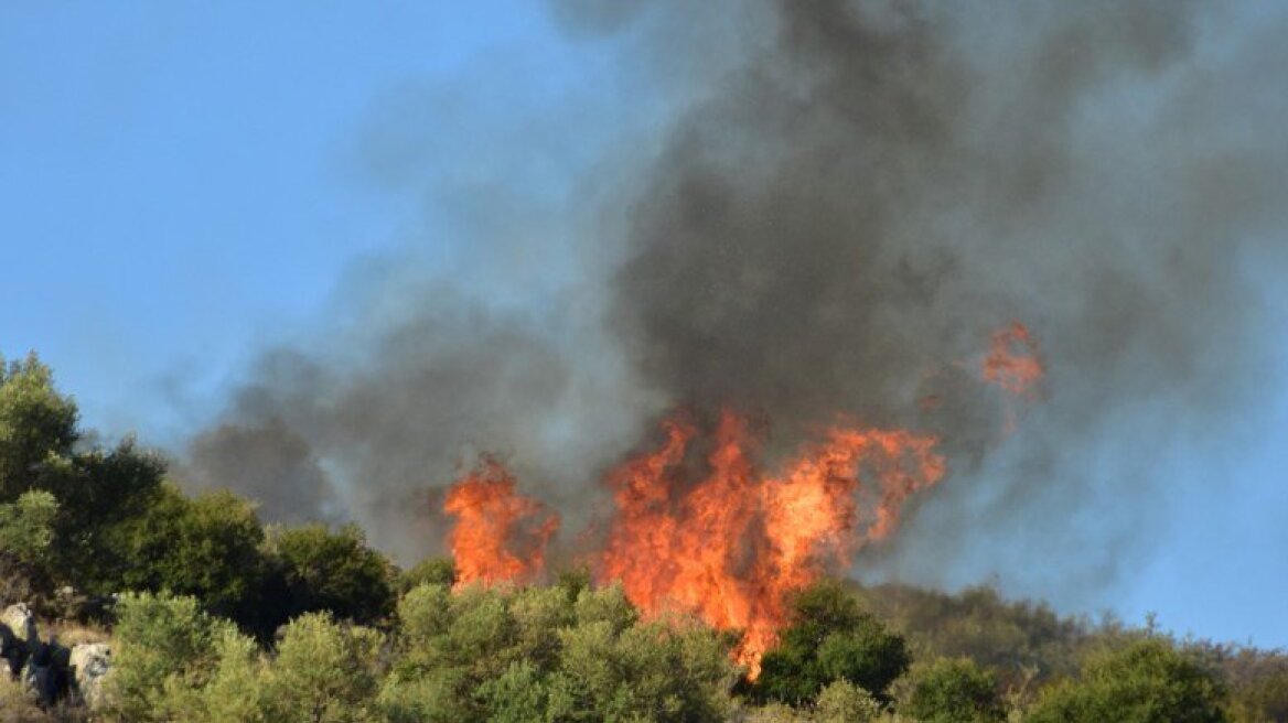 Εύβοια: Τρεις πυρκαγιές καίνε δάση σε Πλατάνια, Ιστιαία και Λεχριές