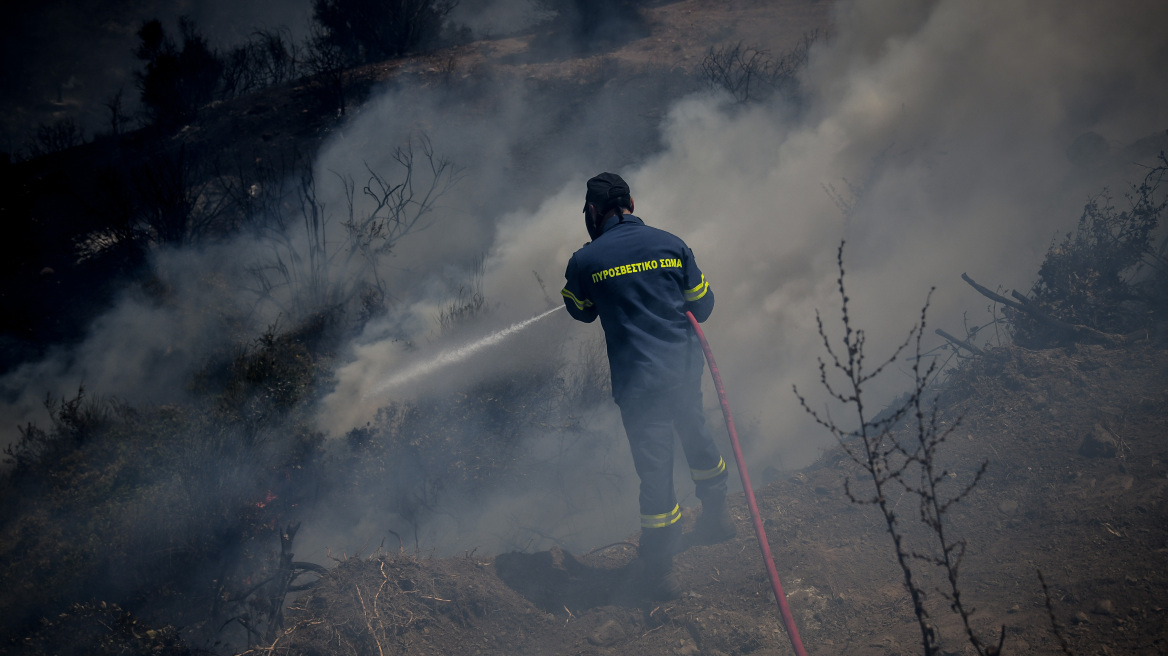 Εύβοια: Μεγάλη φωτιά σε δασική έκταση στην περιοχή Πλατάνια 