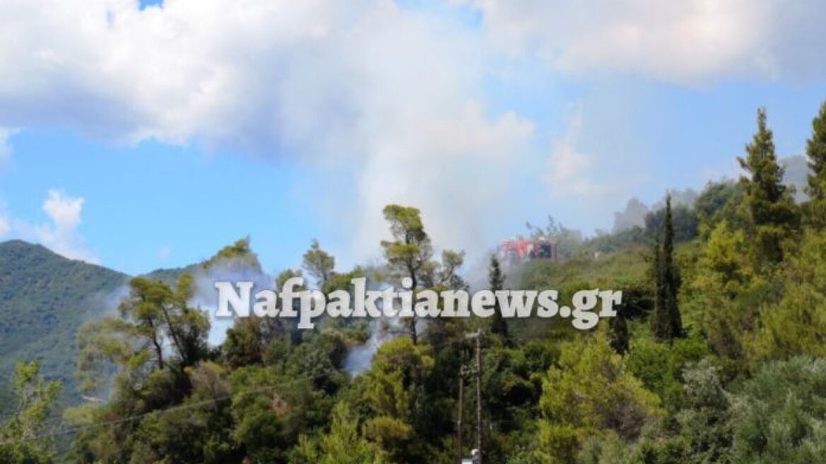 Πυρκαγιά στο Τρίκορφο Ναυπακτίας - Την περιόρισαν οι πυροσβέστες