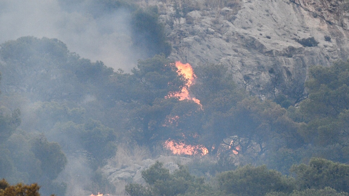 Χαλκιδική: Πυρκαγιά σε αγροτική έκταση στη Νικήτη