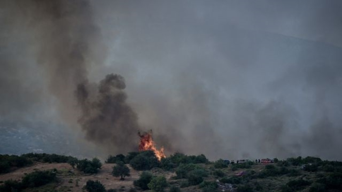 Ξέσπασε πυρκαγιά από κεραυνό στον Εθνικό Δρυμό Οίτης