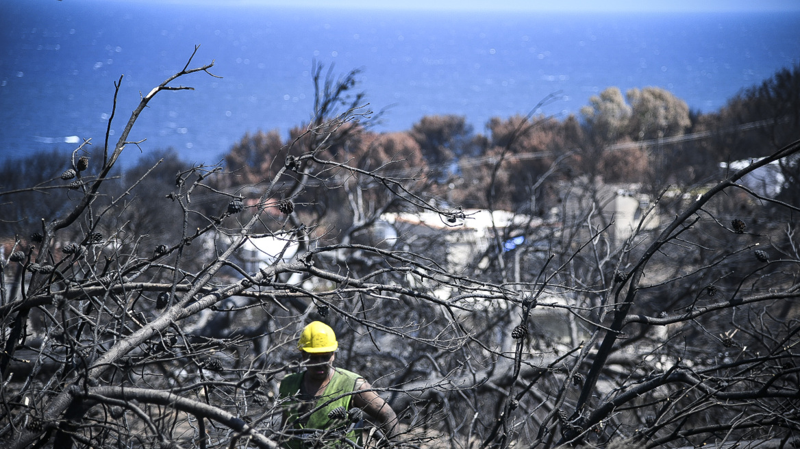 Οικόπεδο «βόμβα» στο Μάτι: «Μία σπίθα και τελειώσαμε» λένε οι κάτοικοι της περιοχής