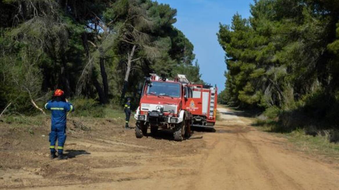 Φύλακας πρόλαβε... εμπρηστές στην Εύβοια!