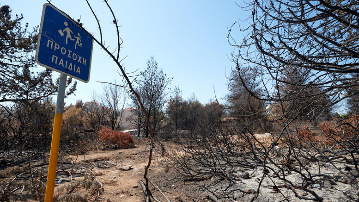 Κυκλοφοριακές ρυθμίσεις στο Μάτι την Τρίτη