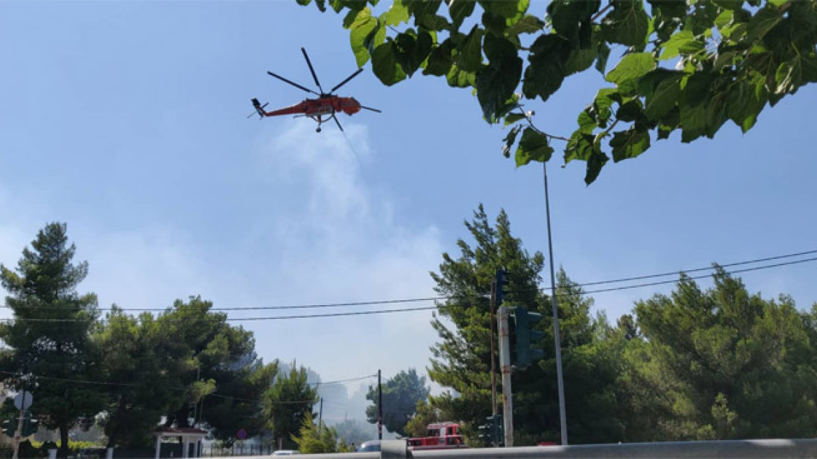 Φωτιές σε Ραφήνα και Βαρνάβα: Άμεση κινητοποίηση της Πυροσβεστικής - Τέθηκαν υπό έλεγχο