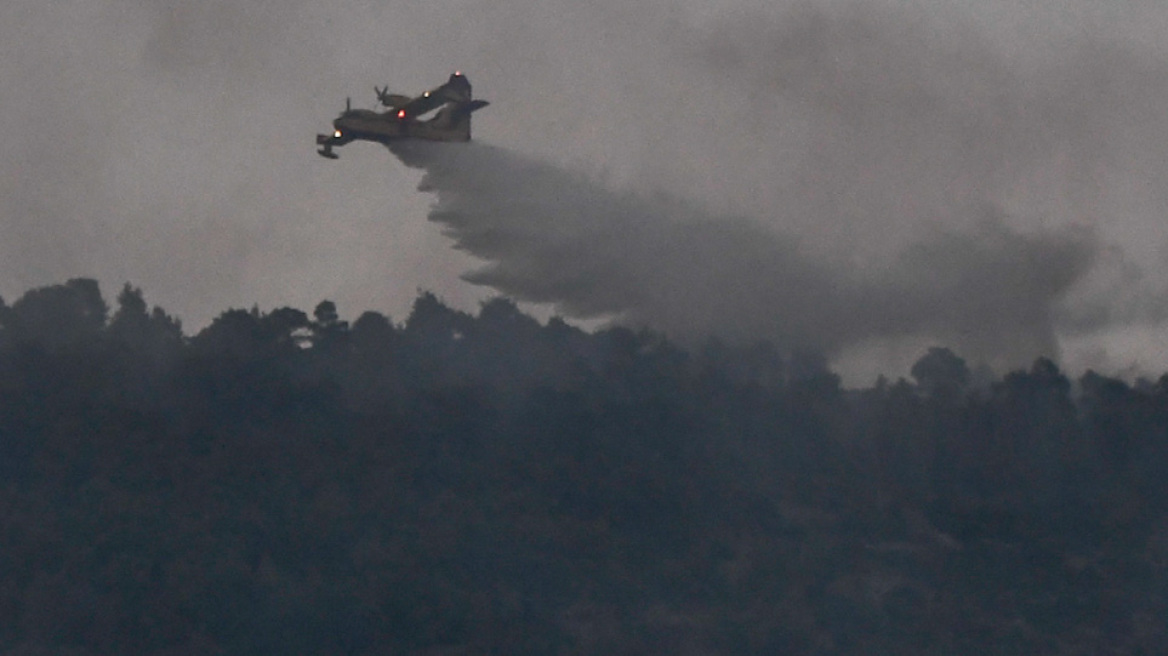 Τανάγρα: Ολονύχτια μάχη με τις φλόγες - Σε τρία μέτωπα η φωτιά 