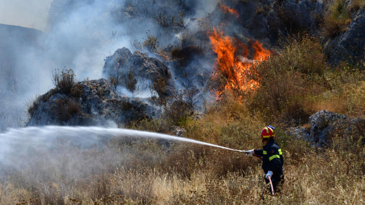 Φωτιά στην περιοχή Κοκκίνη Χάνι στην Κρήτη