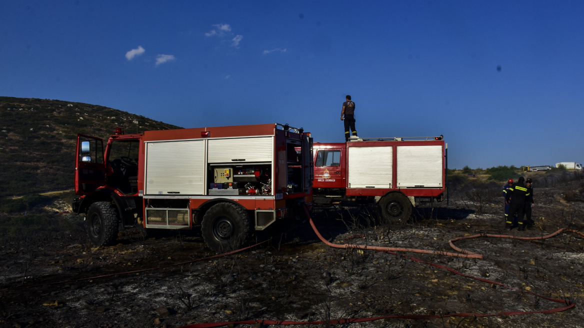 Αργολίδα: Υπό μερικό έλεγχο η πυρκαγιά σε δασική έκταση κοντά στην Ιερά Μονή Καρακαλά 