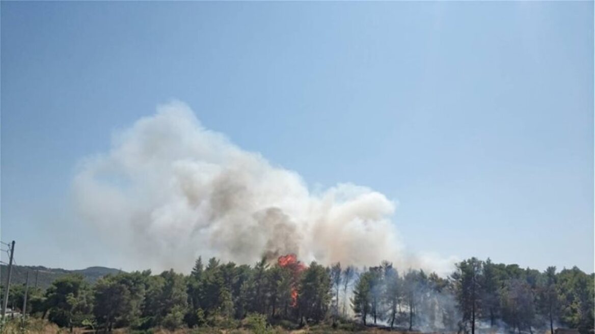 Υπό μερικό έλεγχο η πυρκαγιά στην Αρχαία Νεμέα