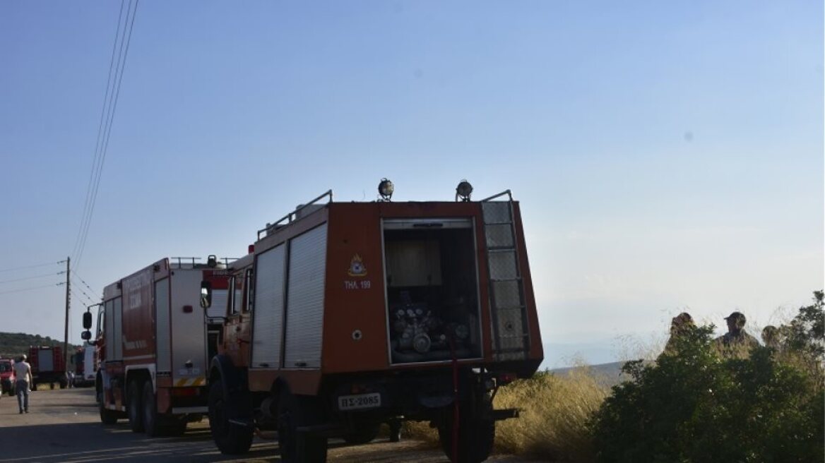 Υπό έλεγχο η φωτιά στον Διόνυσο, κοντά στο Γερμανικό Στρατιωτικό νεκροταφείο