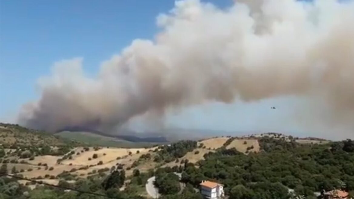 Πυρκαγιά στη Θεσσαλιώτιδα Φθιώτιδας