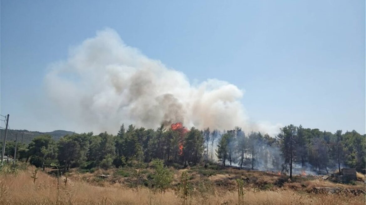 Υψηλός ο κίνδυνος για πυρκαγιές και τη Δευτέρα