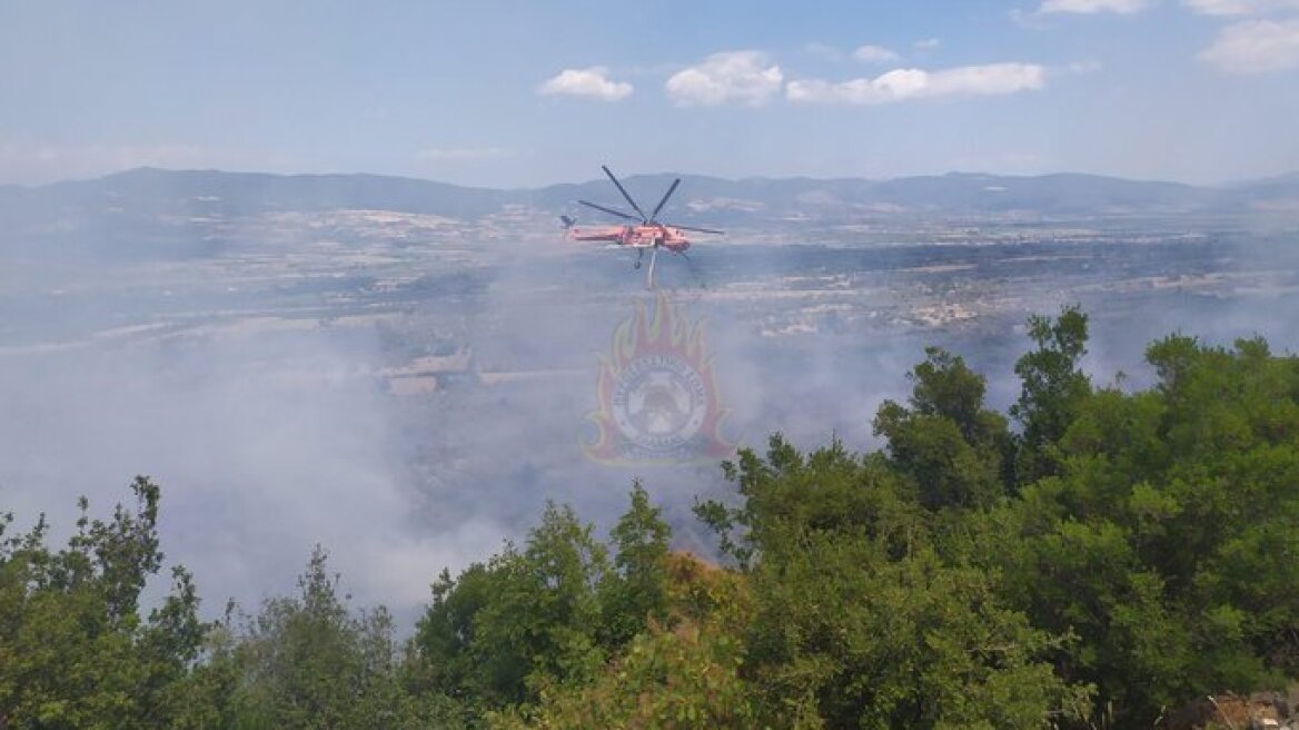 Σε ύφεση τα πύρινα μέτωπα σε Τιθορέα Φθιώτιδας, Ανεμοχώρι Ηλείας και Ολυμπία 