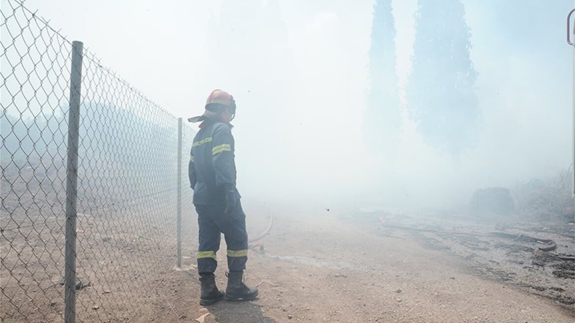 Αστεροσκοπείο Αθηνών: Φέτος έχουν καεί λιγότερες εκτάσεις σε σχέση με την προηγούμενη δεκαετία