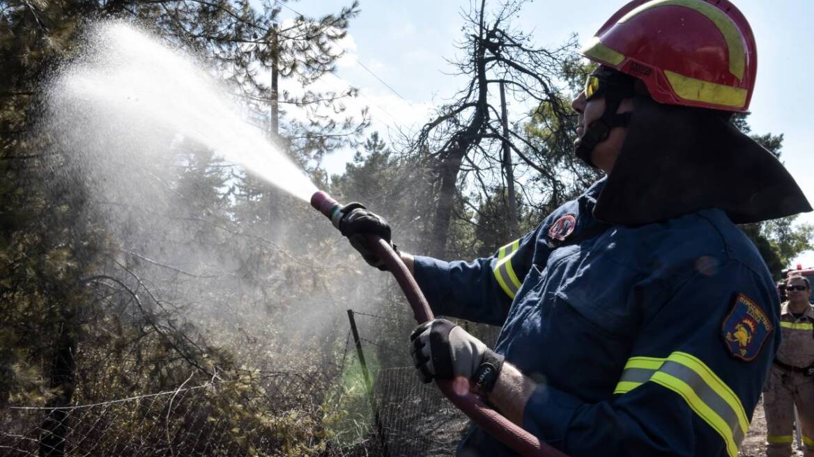 Φωτιά σε δάσος στην Παλαιομάνινα Αιτωλοακαρνανίας