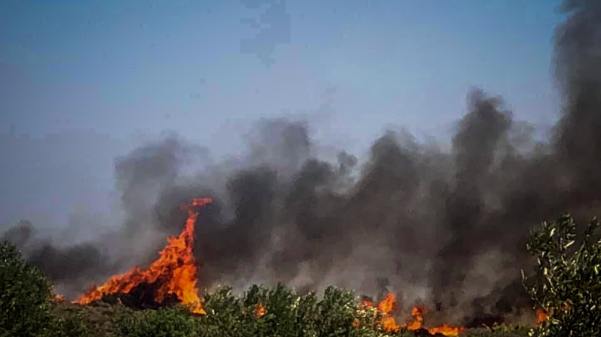 Θεσσαλονίκη: Υπό μερικό έλεγχο πυρκαγιά στους Ελαιώνες