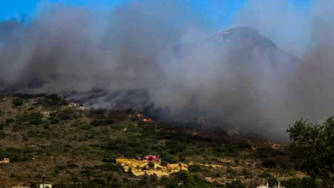 Σε ύφεση η φωτιά στην Ελαφόνησο - «Κρανίου τόπος» το 25% του νησιού