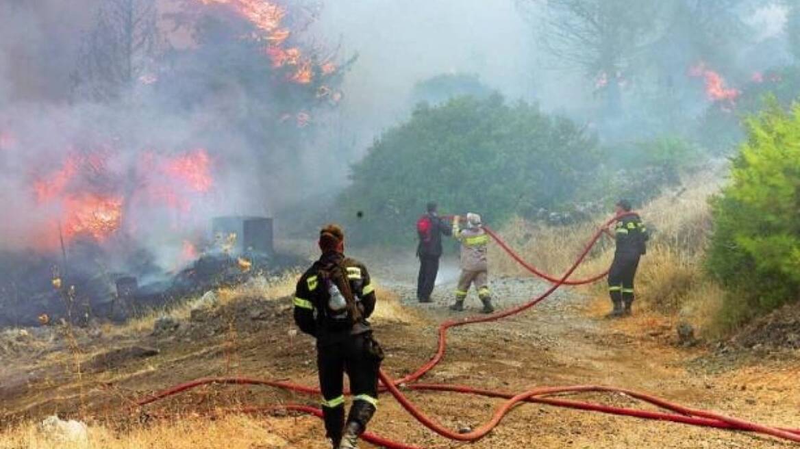 Φλώρινα: Υπό μερικό έλεγχο η φωτιά στις Πρέσπες 