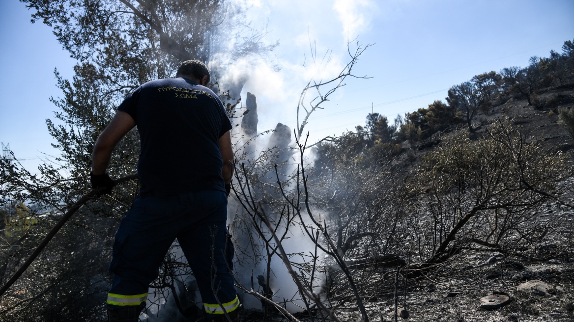 Υπό έλεγχο οι φωτιές σε Μεσσηνία και Κεφαλονιά