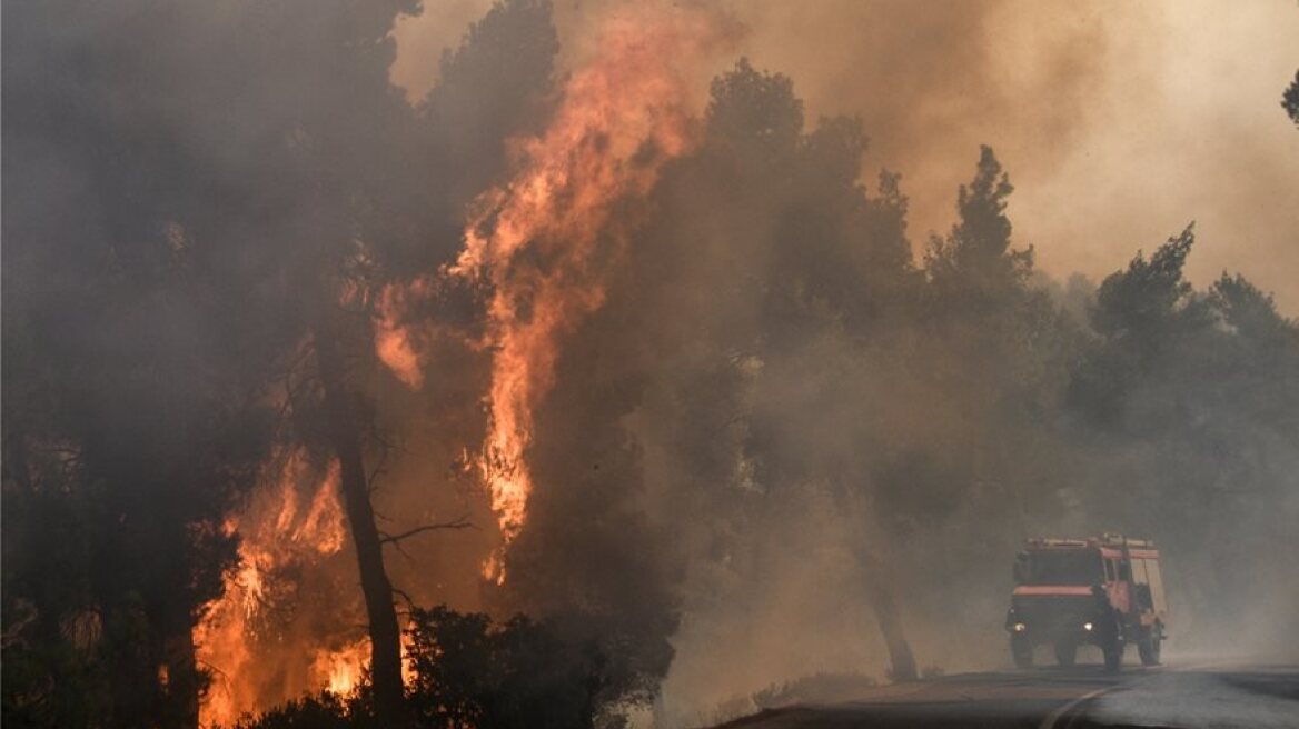 Εθελοντής πυροσβέστης για τη φωτιά στην Εύβοια: Ο κρατικός μηχανισμός δούλεψε, μέχρι τις αυλές σπιτιών οι φλόγες