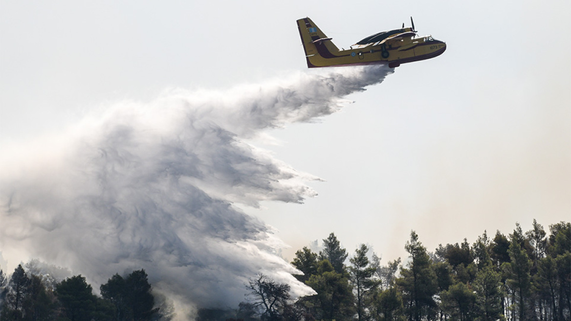 Φωτιά στην Εύβοια: Σε Πλατάνα και Κοκκάλα η μεγάλη «μάχη» των πυροσβεστών 