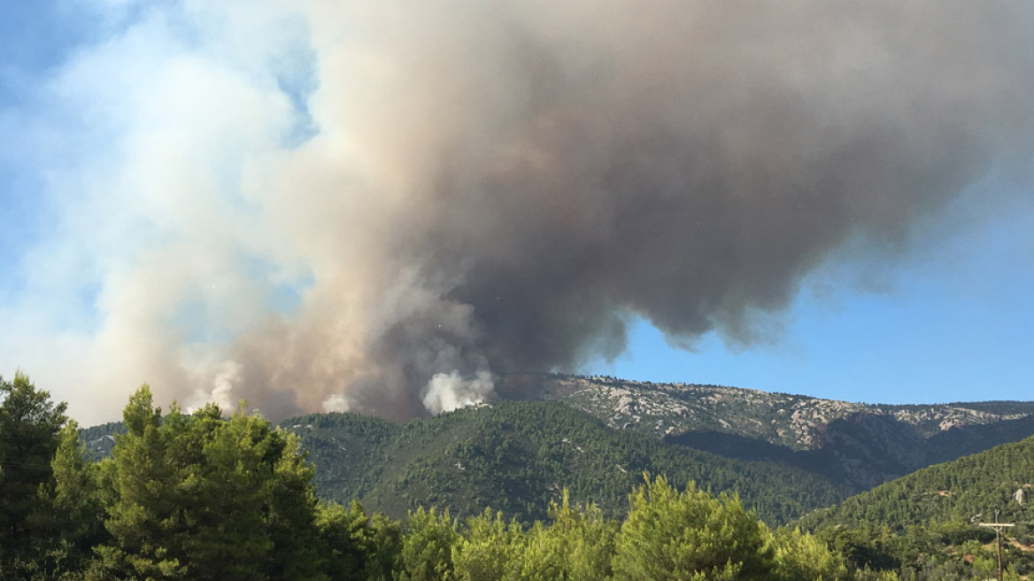 Φωτιά στην Εύβοια: Προβληματίζουν οι αναζωπυρώσεις - Ανησυχία στο χωριό Πλατάνα