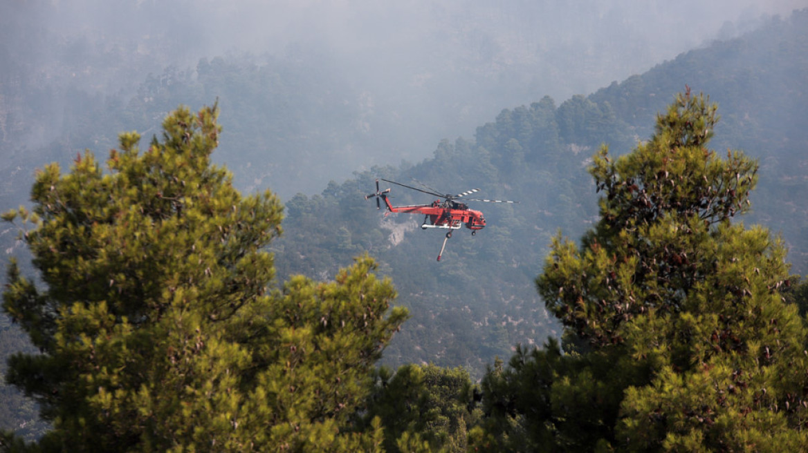 Φωτιά στην Εύβοια: Σαφείς ενδείξεις εμπρησμού - «Αμυνα» για τους οικισμούς οι ζώνες πυρασφάλειας 