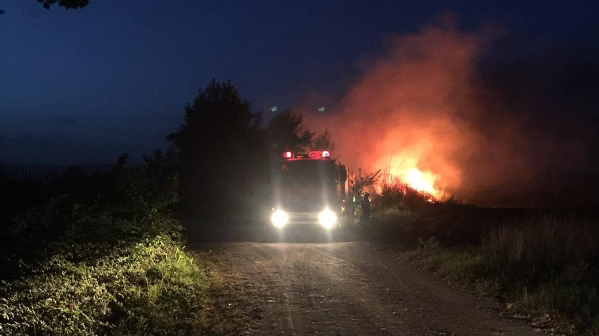 Υπό μερικό έλεγχο η πυρκαγιά στη Λεύκη Καστοριάς