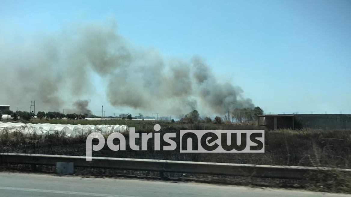 Πυρκαγιές στη Νέα Μανωλάδα και στη Μεγαλόπολη