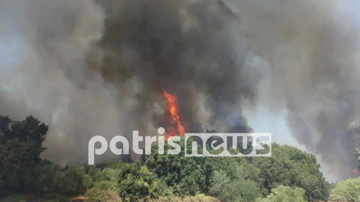 Φωτιές σε Ηλεία και Ασπρόπυργο: Τρεις ηλικιωμένες στο Κέντρο Υγείας Βάρδας - Ανατράπηκε όχημα της Πυροσβεστικής