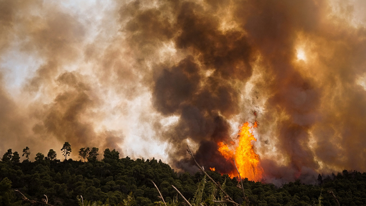 Ηλεία: Συνελήφθη 43χρονος κατά συρροή εμπρηστής - Είχε βάλει τρεις πυρκαγιές στη Νέα Μανωλάδα