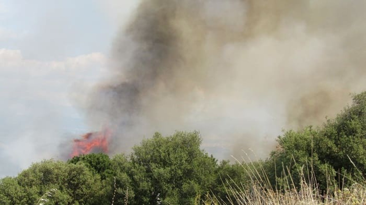 Καλύτερη εικόνα για τη φωτιά στη Ζωοδόχο Ιωαννίνων