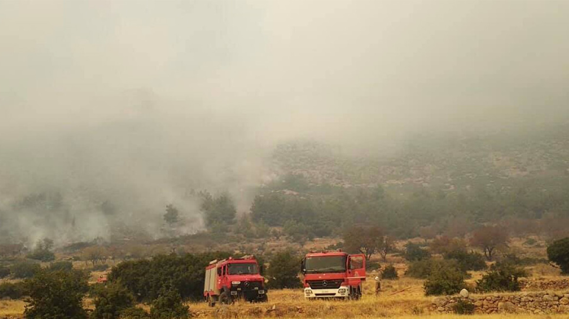 Σε ύφεση η φωτιά στους Δελφούς