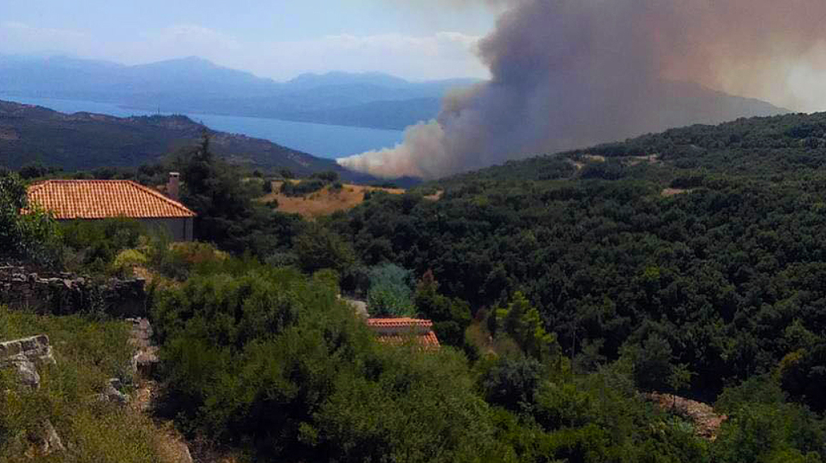 Οριοθετήθηκε η φωτιά στο Ευπάλιο Φωκίδας