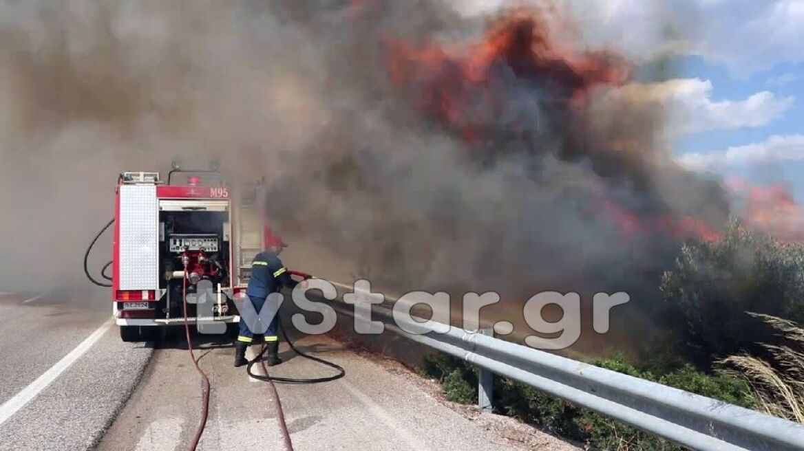 Πυρκαγιά στο Δομοκό - Διακόπηκε η κυκλοφορία των οχημάτων