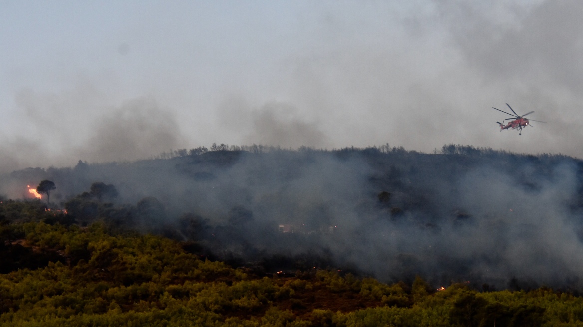 Χαρδαλιάς για φωτιά στη Νέα Μάκρη: Πρόκειται για την έβδομη πυρκαγιά σε εννέα ημέρες, δεν είναι τυχαίο