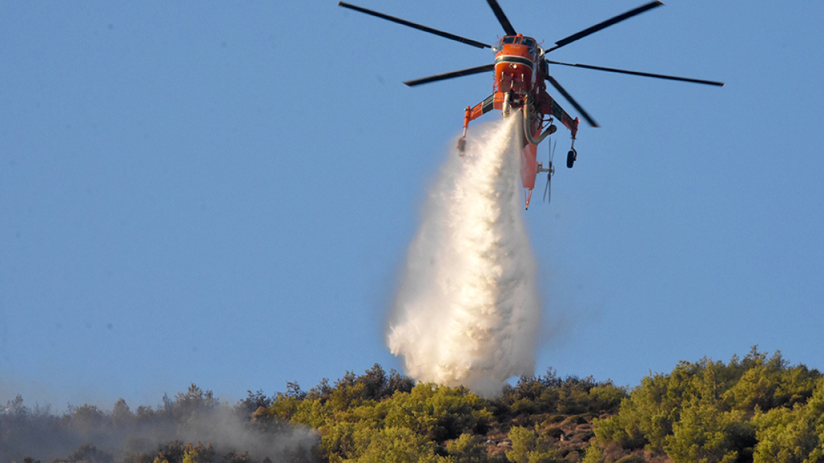 Φωτιά στη Νέα Μάκρη: Σε ύφεση το μέτωπο - Υπόνοιες για εμπρησμό