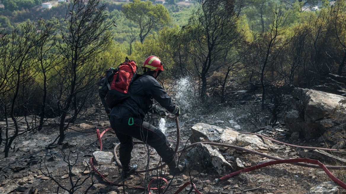 Υπό μερικό έλεγχο η φωτιά στο Μάραθος του δήμου Μαλεβιζίου