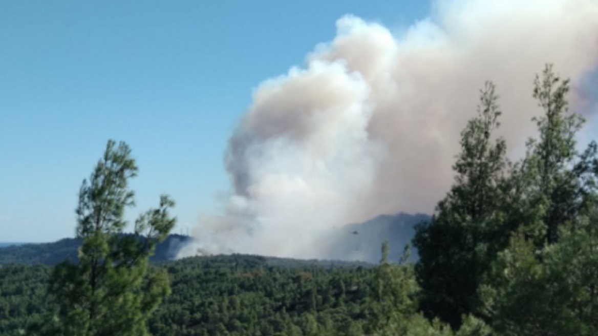 Φωτιά σε δασική έκταση στα Καλάβρυτα