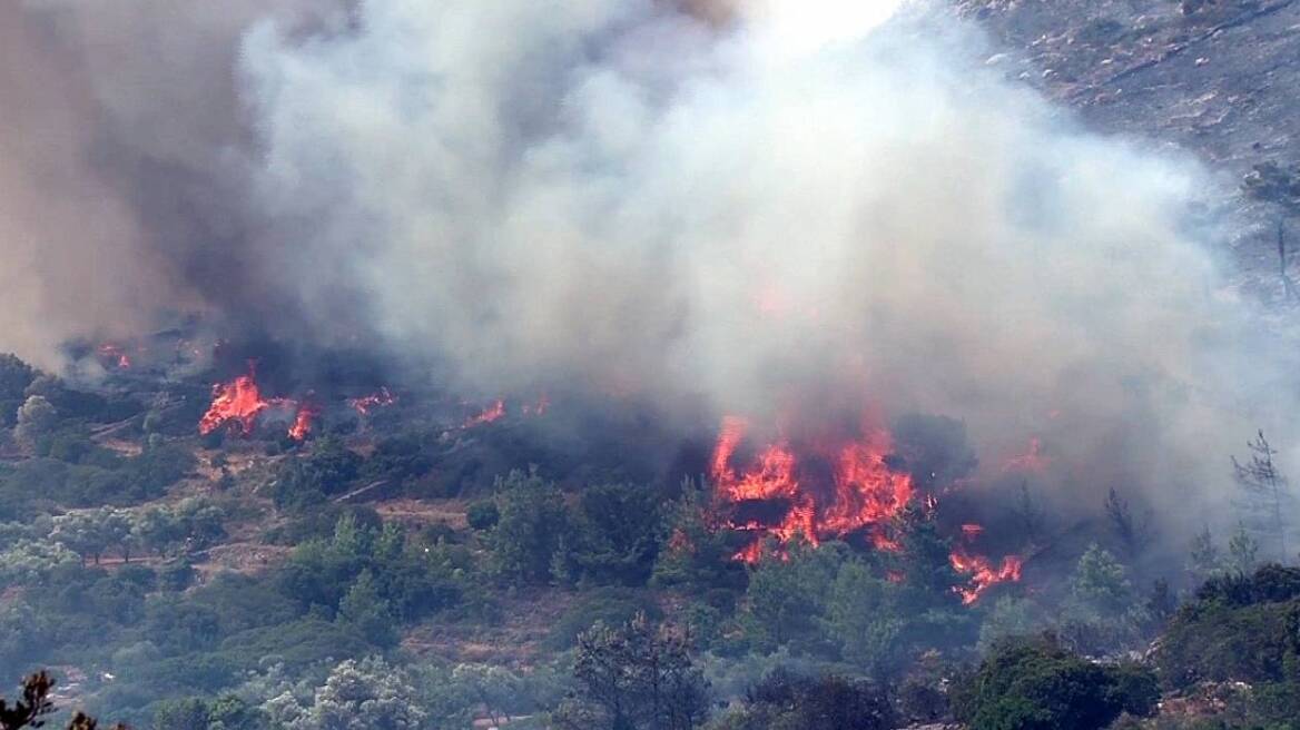 Φωτιά στη Χίο - Μεγάλη κινητοποίηση της πυροσβεστικής