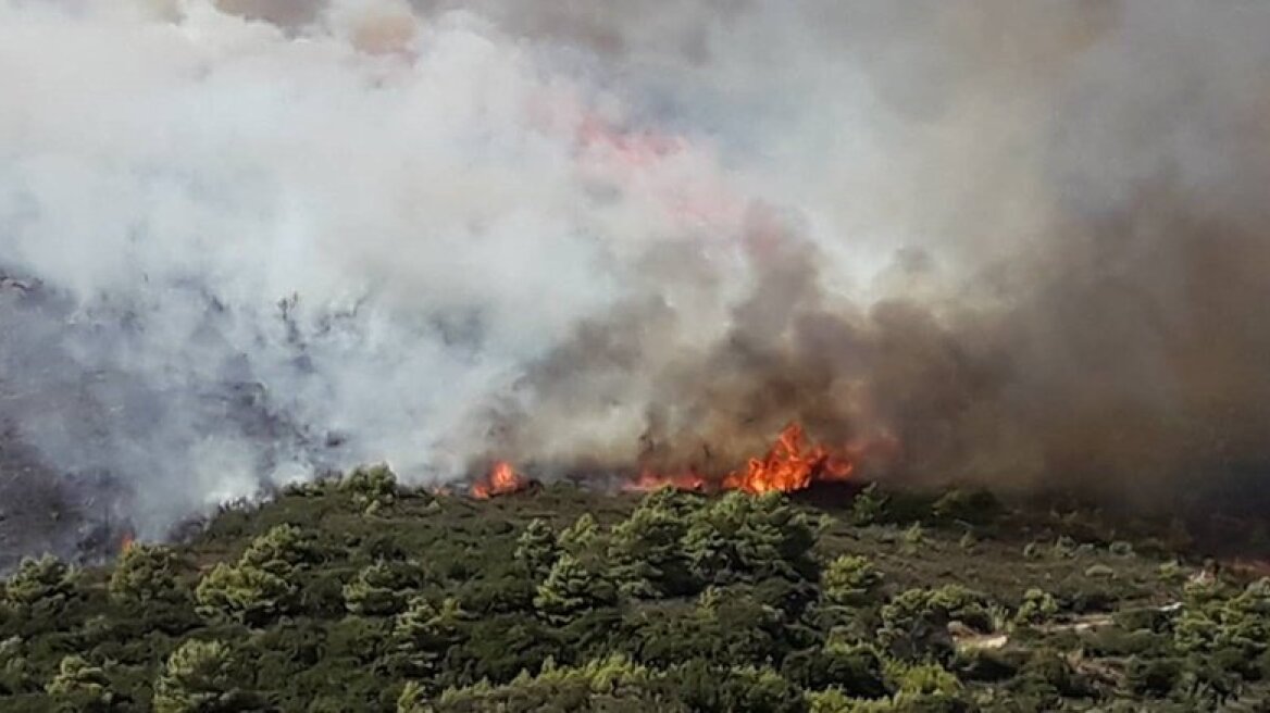 Υπό έλεγχο η φωτιά στον Άγιο Δημήτριο Σαλαμίνας