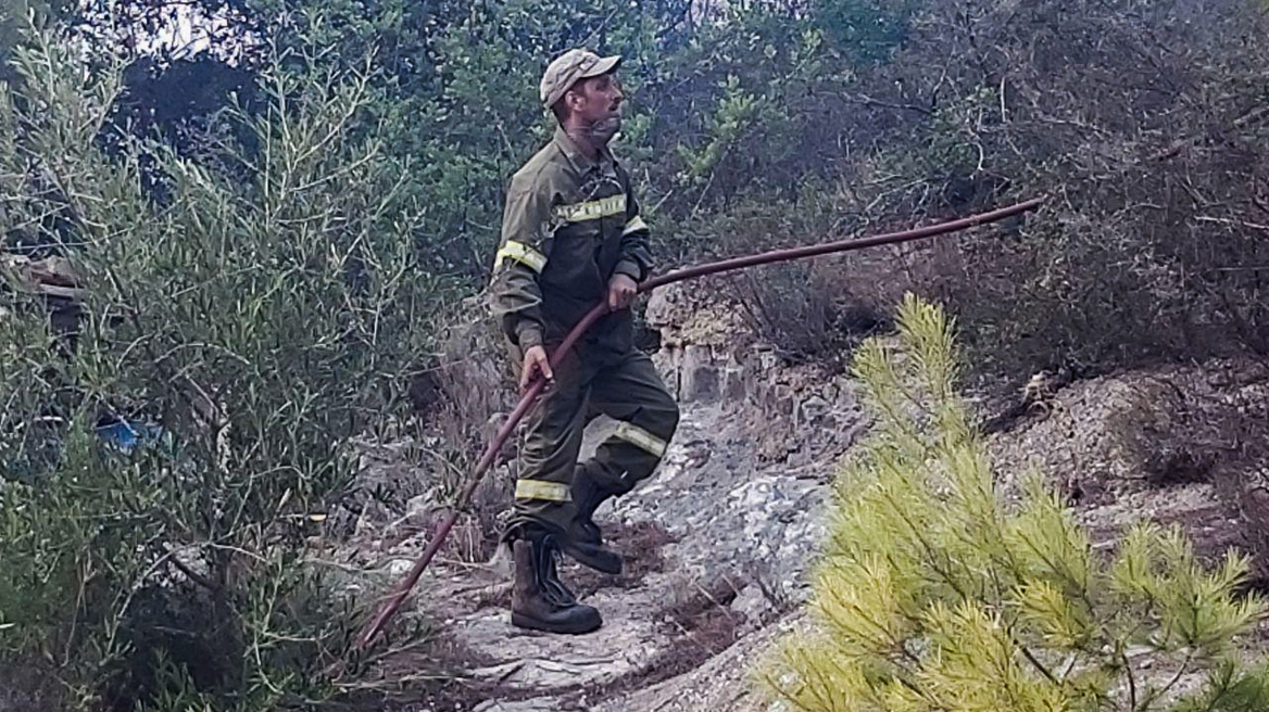 Χαρδαλιάς για φωτιά στη Ζάκυνθο: Η πρώτη εκτίμηση είναι ότι κάηκαν 10.000 στρέμματα