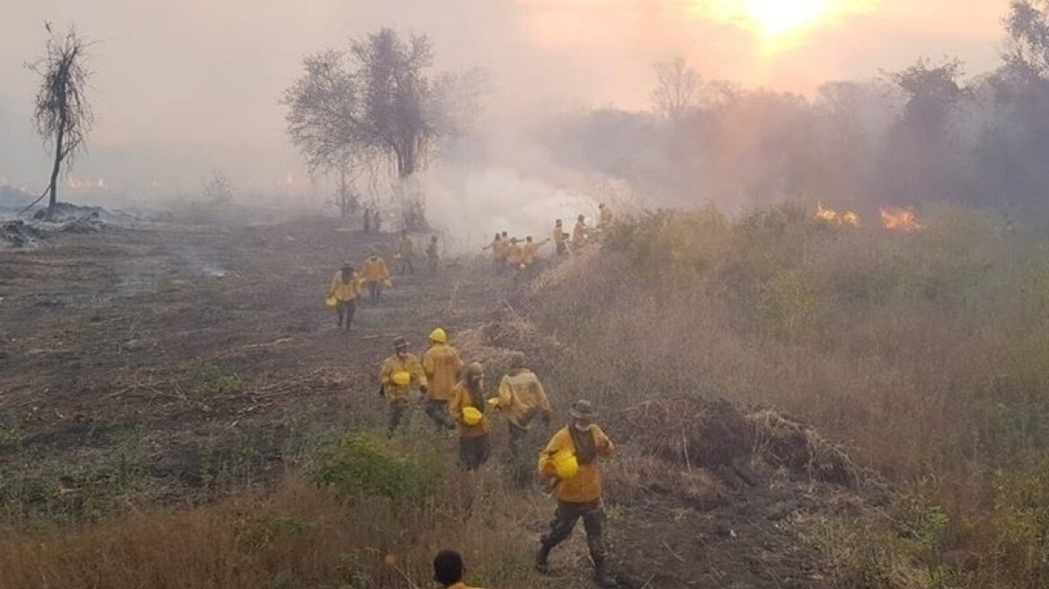 Ασύλληπτη τραγωδία στη Βολιβία: Πάνω από 2,3 εκατ. ζώα πέθαναν στις φωτιές