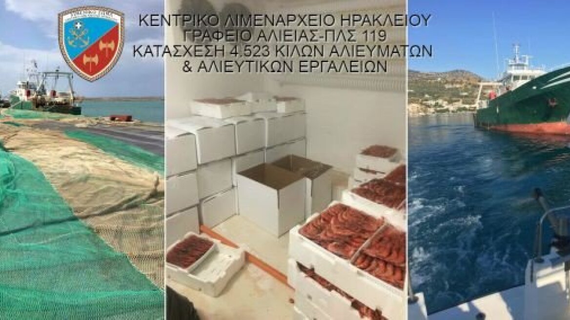 Κρήτη: Κατασχέθηκαν 4,5 τόνοι γαρίδας και αλιευμάτων