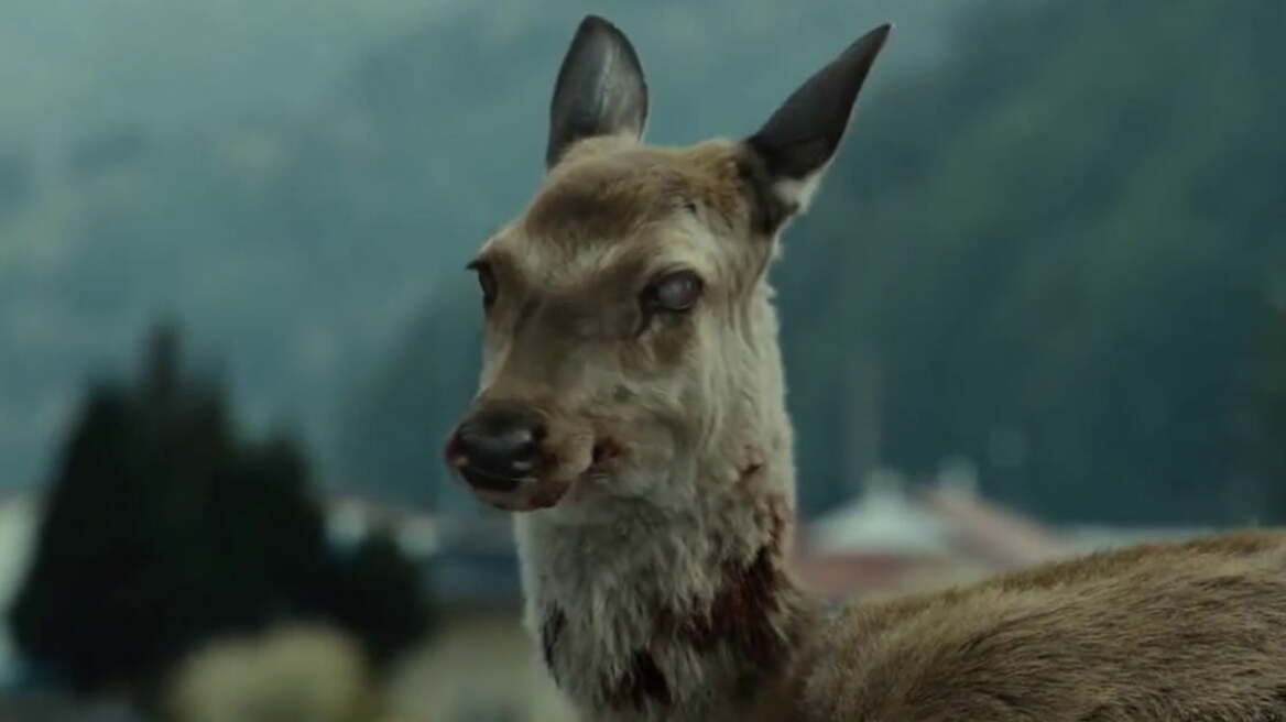 Σενάριο «Walking Dead» στις ΗΠΑ: Η ασθένεια «Zombie Deer» μπορεί να απειλήσει τον άνθρωπο