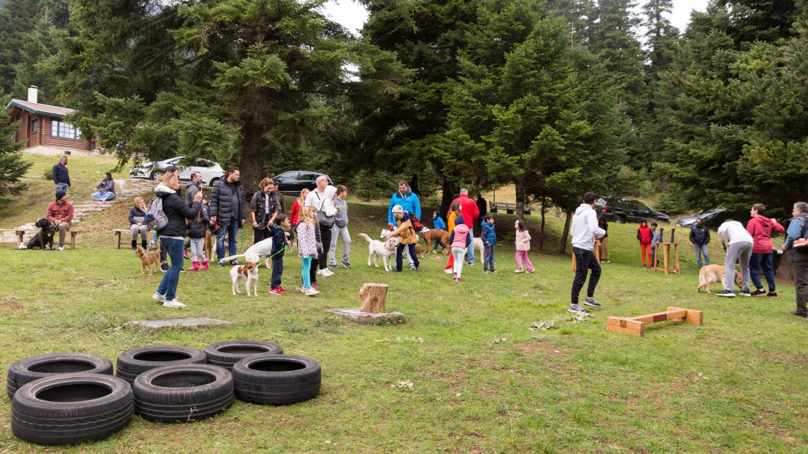 Dog Weekend: Ένα διήμερο αφιερωμένο στα αγαπημένα μας κατοικίδια