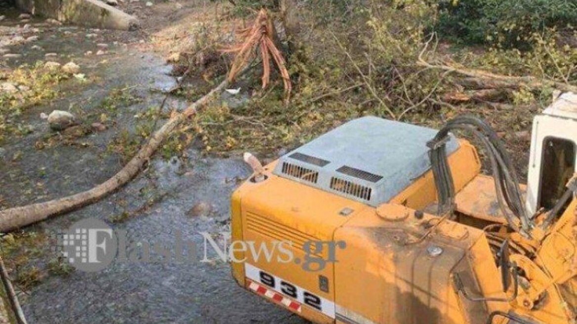 Τραγικό περιστατικό στην Κρήτη: Δέντρο κατάπλακωσε άντρα και τον σκότωσε 